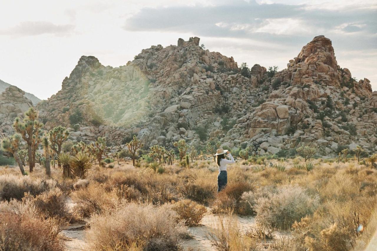 Field Station Joshua Tree Yucca Valley Exterior foto
